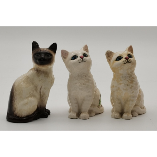 170 - x6 Beswick Cats including Siamese kitten 887, 2 cream kittens, 2 large white Persian cats 1867, Larg... 