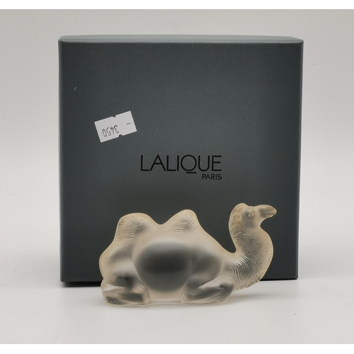 227 - Lalique frosted glass model of a Camel, signed on base Lalique France with box 10cm x 6cm