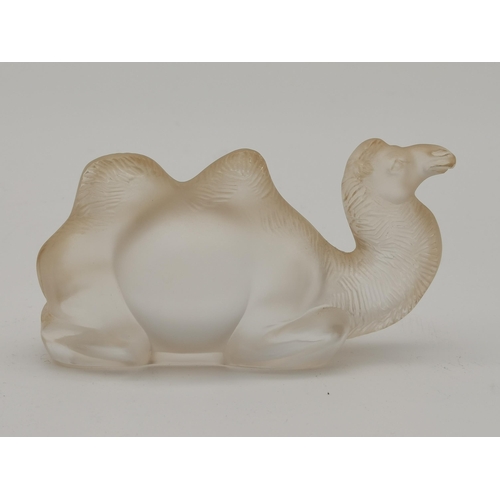 227 - Lalique frosted glass model of a Camel, signed on base Lalique France with box 10cm x 6cm