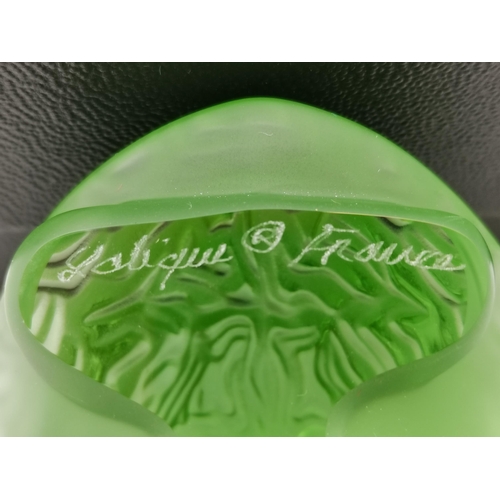 229 - Lalique green glass sidonie turtle with box, signed to base Lalique France H3.5cm x W7.5cm