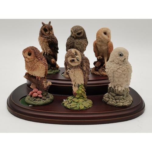 319 - Six Royal Doulton owl figures, on a two-tiered wooden stand; together with a Coalport anthropomorphi... 