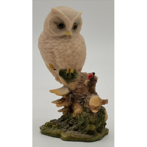 319 - Six Royal Doulton owl figures, on a two-tiered wooden stand; together with a Coalport anthropomorphi... 