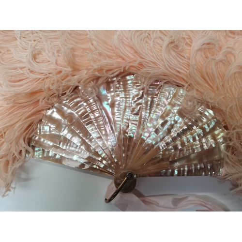 309 - A Vintage Feathered Fan by Edwards & Jones Regents Street in original box 45cm high x 75cm fully ext... 