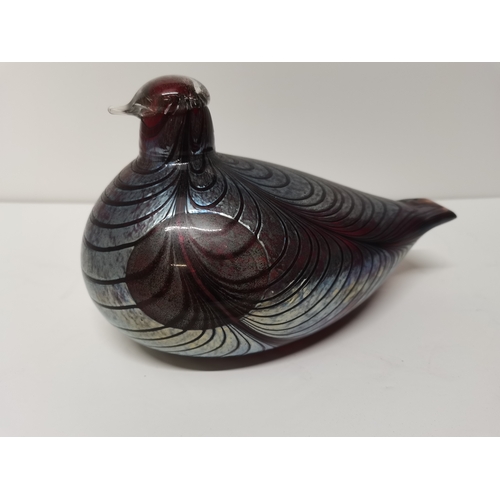 139 - Large Nuutajarvi - Oiva Toikka hand blown iridescent pulled feather studio glass Pheasant bird H13cm... 