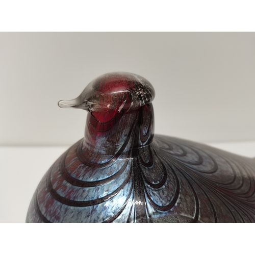 139 - Large Nuutajarvi - Oiva Toikka hand blown iridescent pulled feather studio glass Pheasant bird H13cm... 