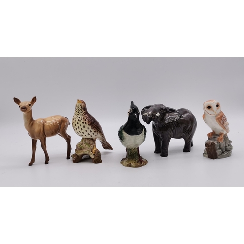 184 - A Collection of Beswick Animals including - Lapwing 2416, Barn Owl, Song Thrush 2308 gloss finish, D... 