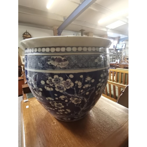 681 - A Chinese blue and white fish bowl with prunus decoration 19th century  ( d/d ) 35cm high