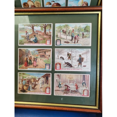 824 - x22 framed sets of 