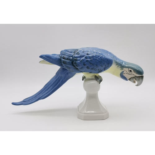 171 - A Large Royal Dux Porcelain Figure of a Macaw Parrot, with Blue feathers, raised on a ball finial pi... 