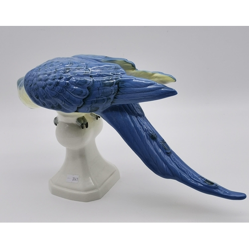 171 - A Large Royal Dux Porcelain Figure of a Macaw Parrot, with Blue feathers, raised on a ball finial pi... 