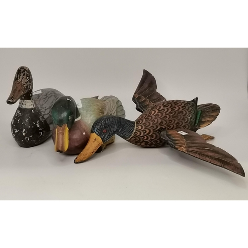 281 - Three naïve wooden decoy ducks, carved and painted. (3) Largest 39cm long