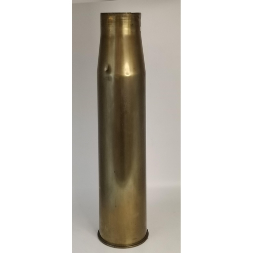 Lot 41        