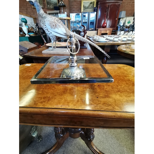 666 - A modern silvered cake stand