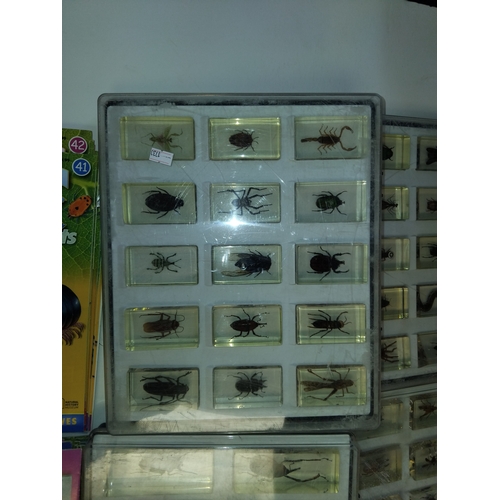 720 - Entomology: Natural History Museum 'Real Life Bugs and Insects', A collection of fifty-five assorted... 