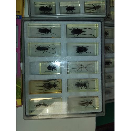 720 - Entomology: Natural History Museum 'Real Life Bugs and Insects', A collection of fifty-five assorted... 