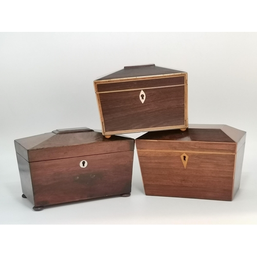 Lot 2         