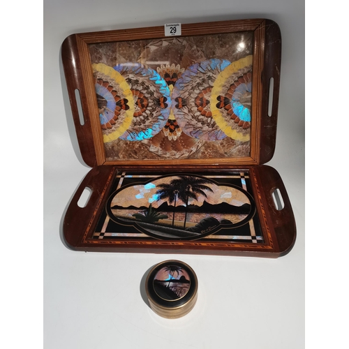 Lot 29        