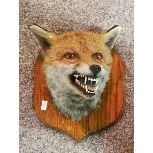 103 - D. S. Vaux (20th Century), 'Quiver', watercolour of a hunter standing in grassy parkland, signed and... 