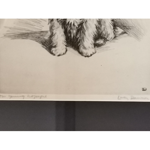 105 - Henry Wilkinson (1921-2011), A pair of Jack Russell terriers, limited edition hand coloured etching,... 