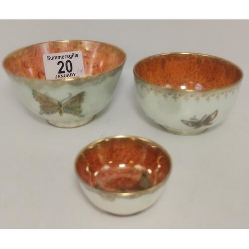 Lot 20        