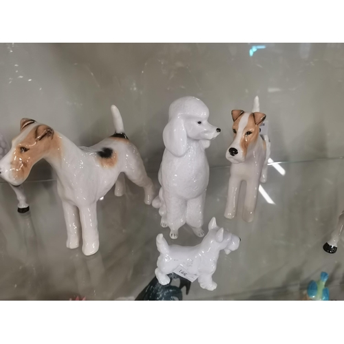 199 - Four Porcelain Dog figurines including x2 Beswick Wire-haired Fox terriers, German porcelain West Hi... 