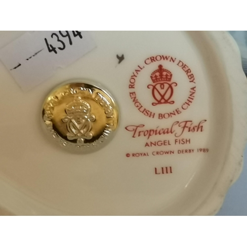 271 - Crown Derby Tropical Fish and Chipmunk paperweights with gold stoppers (2)