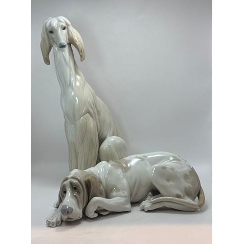  Two Lladro Dog figurines - Blood Hound 1067 plus Afghan Hound 1069 sculptured by Juan Huerta H30cm