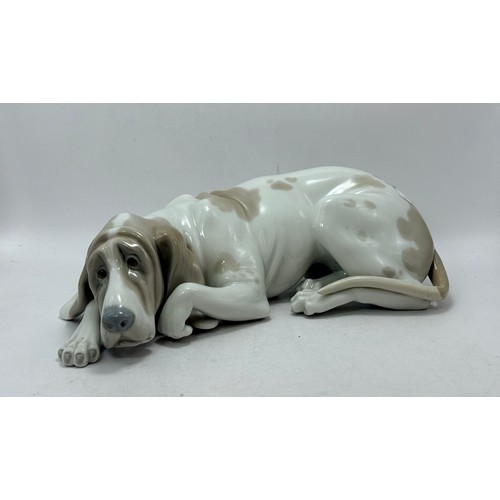  Two Lladro Dog figurines - Blood Hound 1067 plus Afghan Hound 1069 sculptured by Juan Huerta H30cm