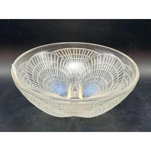 Lot 264       