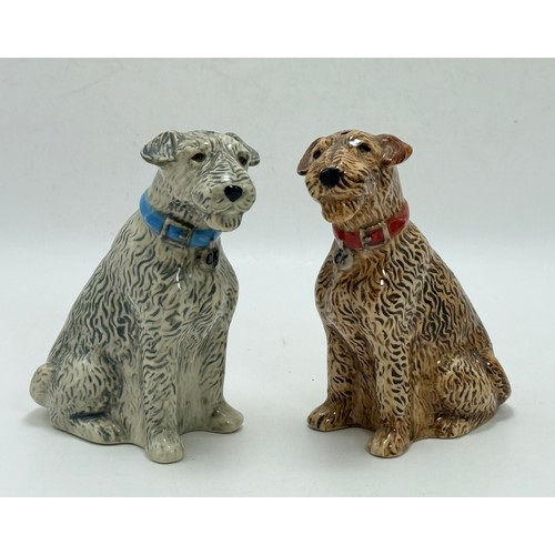  A Collection of ceramic Airedale Terriers Including Mellorware and Cath Kidston Stanley Terrier Salt... 