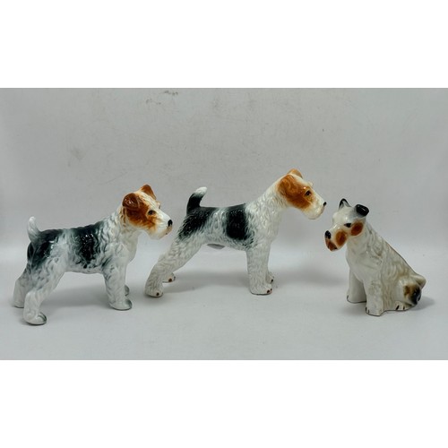  A Collection of ceramic Airedale Terriers Including Mellorware and Cath Kidston Stanley Terrier Salt... 