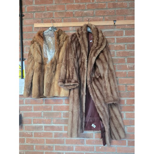 740 - Two Vintage Fur coats - one long believed to be Musquash and one short believed to be Fox size M