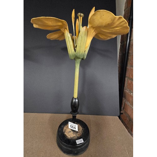 664 - A late 19th century botanical papier-mâché Brendel model of a rape seed flower (no label) by Robert ... 