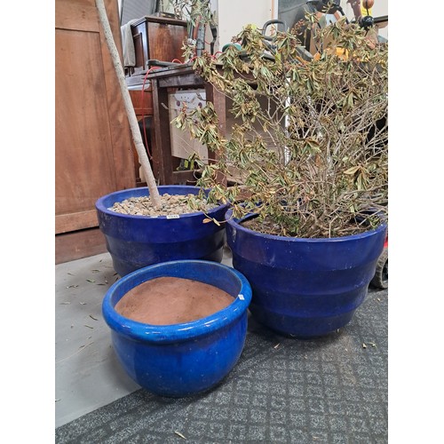1046 - x3 blue coloured garden planters 2 are plastic with plants, 1 smaller ceramic / terracotta