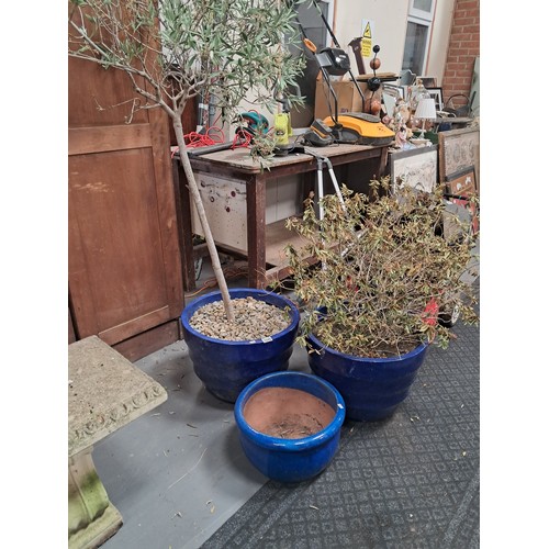 1046 - x3 blue coloured garden planters 2 are plastic with plants, 1 smaller ceramic / terracotta