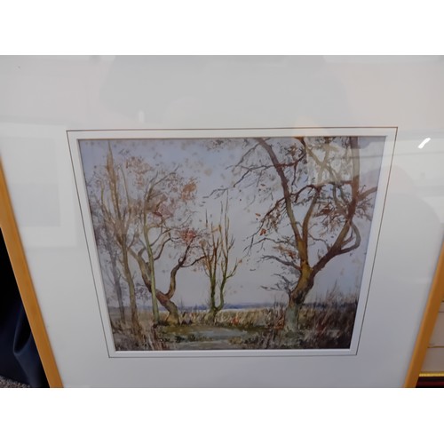 619 - A collection of five assorted framed pictures comprising a pair of Cock Fighting coloured engravings... 
