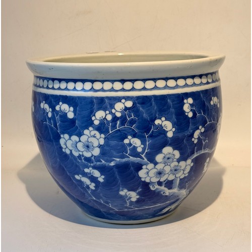 Lot 27        