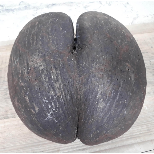 88 - Natural History: Lodoicea Coco De Mer nut or sea coconut, approx. 24cm x 24cm x 14cm.