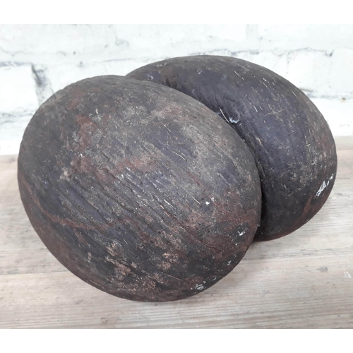 88 - Natural History: Lodoicea Coco De Mer nut or sea coconut, approx. 24cm x 24cm x 14cm.