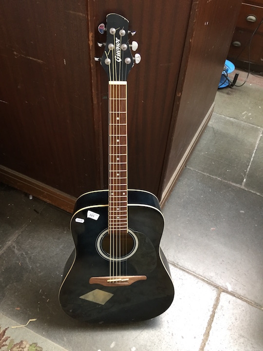 Guvnor acoustic guitar GA300-BK blue/green