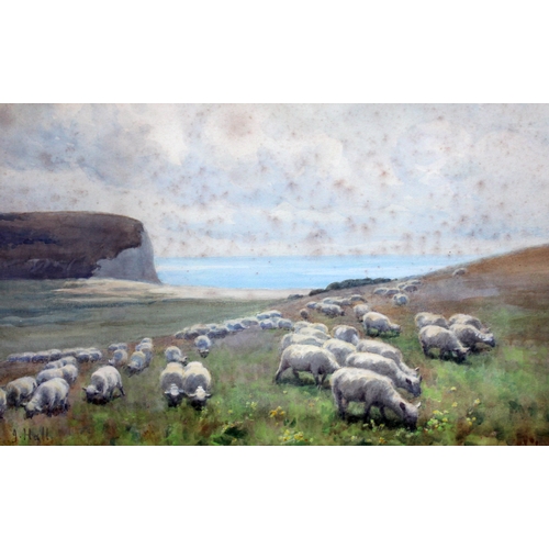 536 - Jessie Hall, sheep grazing, watercolour, 38cm x 26cm, signed, glazed and framed.