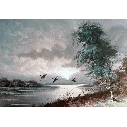 541 - Dutch 20th century, river scene with ducks, oil on canvas, 68cm x 49cm, signed 'H Bot' and labelled ... 