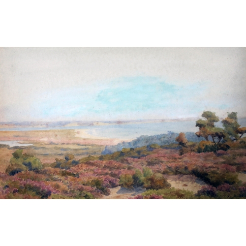 543 - Edith M. Finch, coastal landscape, watercolour, 37cm x 25cm, signed and dated 1913 lower right, glaz... 