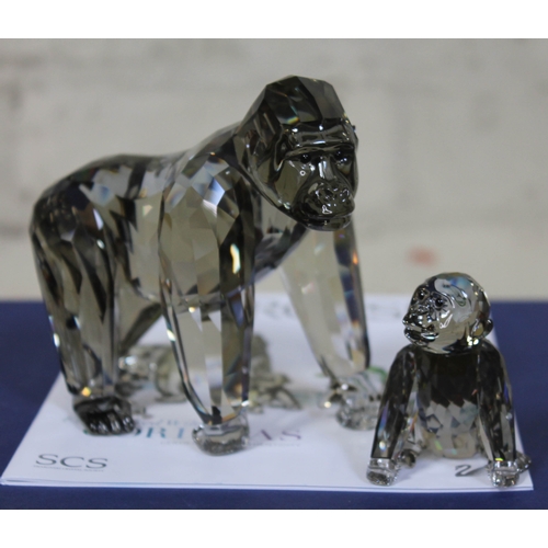 560 - Swarovski Endangered Wildlife Gorillas designed by Anton Hirzinger, boxed with certificate.