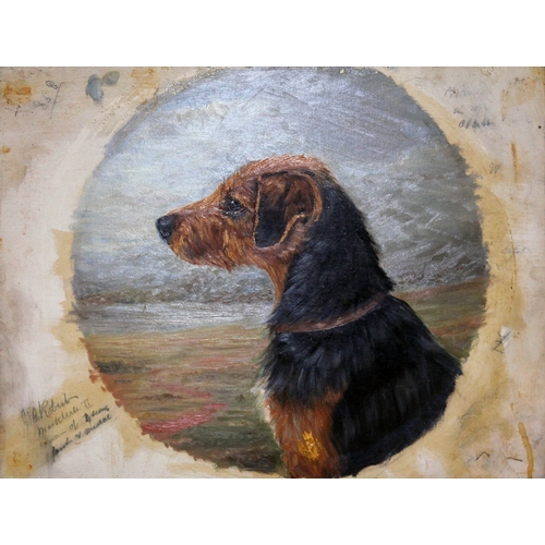 504 - Late 19th/early 20th century school, portrait of a dog in side profile, oil on canvas, 46cm x 35cm, ... 