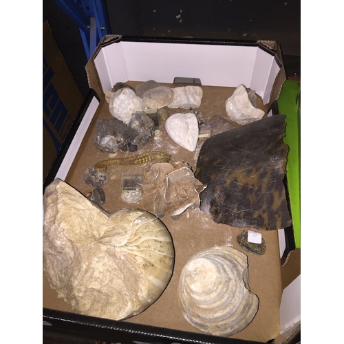 110 - A box of fossils including Geodes, Fools Gold, Desert Rose, a 5.4 KG Ammonite fossil from the Oman d... 