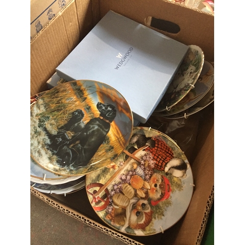 609 - A box of collectors plates including Wedgwood