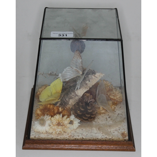 331 - A display of taxidermy moths/butterflies in glass case, height 21cm.