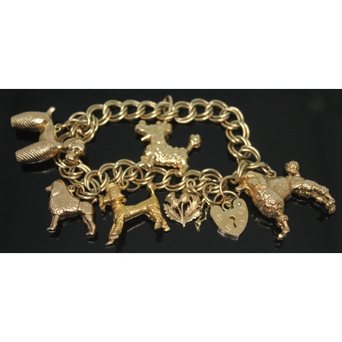 265 - A hallmarked 9ct charm bracelet with five poodle charms and a thistle charm, length approx. 17.5cm, ... 