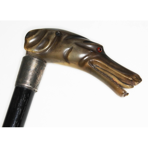 301 - An ebonised walking cane with pressed horn handle formed as a dog's head and hallmarked silver colla... 